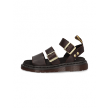 Gryphon Strap Sandal