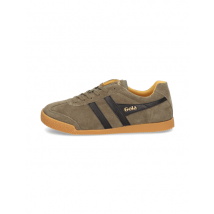 Gola Harrier