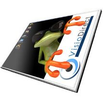 Dalle Ecran LCD HD 15.6" HP Pavilion DV6-1325SA - Société Française