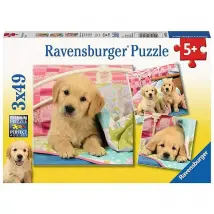 Ravensburger - Puzzle Kuschelige Hündchen (3x49) - Bambini