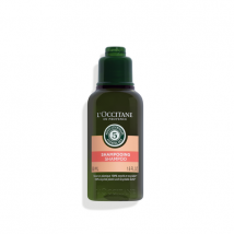 Intensive Repair Shampoo 50ml - 50 ml - L'Occitane en Provence