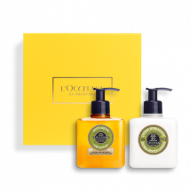 Gentle Shea Verbena Hands & Body Care Duo - L'Occitane en Provence