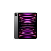 IPAD PRO 11 M2 1TO GRIS SIDERAL WI-FI CELLULAR FIN 2022