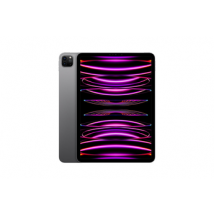 IPAD PRO 11 M2 2TO GRIS SIDERAL WI-FI CELLULAR FIN 2022
