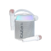 PORTABLE  2 MICROS