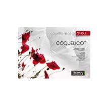 COQUELICOT 260 X 240 CM