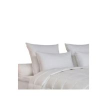 TITANIUM 65X65 70% DUVET OIE ET CANARD