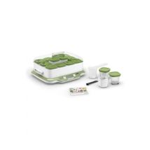 12 pots Multi Delices Express & Vegetal YG661310