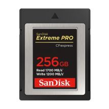 CARTE EXTREME PRO SANDISK CF EXPRESS TYPE B 256 GB
