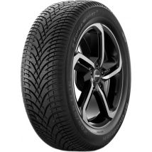 BF Goodrich g-Force Winter 2 ( 215/60 R17 100V XL, SUV )