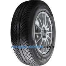 Cooper Discoverer Winter ( 205/60 R17 93H )