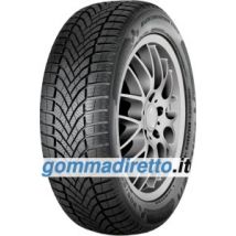 Falken EUROWINTER HS02 ( 205/65 R15 94H BLK )