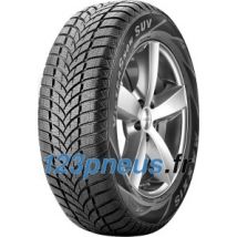 Maxxis Victra Snow SUV MA-SW ( 255/65 R16 109H )