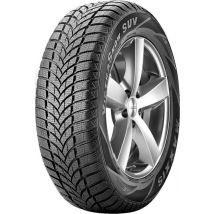 Maxxis Victra Snow SUV MA-SW ( 255/75 R15 110T )