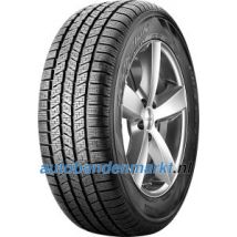 Pirelli Scorpion Ice & Snow ( 255/50 R19 107H XL, MO, met velgrandbescherming (MFS) )
