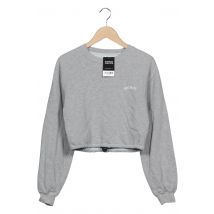 BDG Urban Outfitters Damen Sweatshirt, grau, Gr. 36