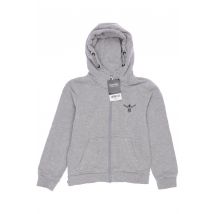 Chiemsee Jungen Hoodies &amp; Sweater, grau, Gr. 128