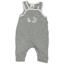 Sterntaler Jungen Strampler, grau, Gr. 56