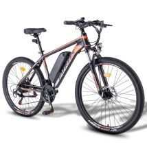 Bicicletta elettrica da montagna Fafrees 26Hailong One, batteria da 36V 13,5Ah, 21 velocità - nera - Nuovo