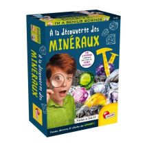 Explore Minerals - Science Kit - I'M A GENIUS POCKET - Bloque de excavación - Nuevo