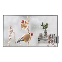 LG 55EW5P-M/OLED 55'' transparent OpenFrame