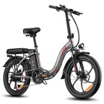 Bicicletta elettrica pieghevole FAFREES F20, motore da 250 W, batteria da 36 V 15 AH - Nuovo