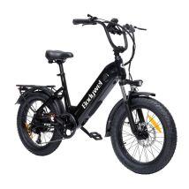 Bici elettrica Bodywel F20 da 20 pollici, motore da 250 W e batteria da 48 V e 13,5 Ah - Nuovo