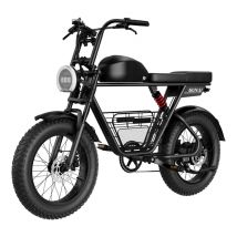 Vélo électrique tout-terrain pour adultes 20 pouces 48 V 21 Ah Batterie et panier de chargement- GUNAI-T