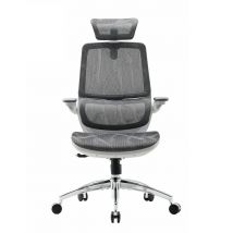 M59AS Chaise de bureau ergonomique- Accoudoirs 3D réglables & rabattables, 43.5x50.5x101.6cm-Gris