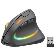 SPEEDLINK SL-630026-BK souris Jouer Droitier RF sans fil Optique 3200 DPI