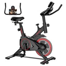 Formill QK101 Bicicleta Dinámica, Pantalla LCD, Asiento y Reposabrazos Ajustables, Transmisión por Correa Silenciosa, Carga Máxima 120kg, Ejercicio de