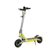 Trottinette électrique - M41 TANK 1000W, autonomie de 45 km, freins à disque, roues de 10 , éclairage LED, écran LCD - vert citron