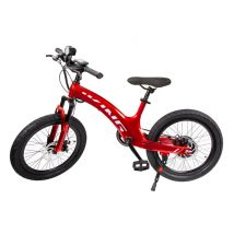 Vélo électrique JKING C8 - Batterie 29,4 V 9 Ah - Moteur 250 W - 20 pouces