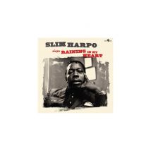 Canta Piove nel mio cuore - Nuovo