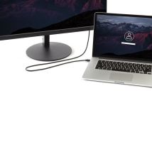 StarTech.com Câble Mini DisplayPort vers DisplayPort 1.2 de 2m - Câble adaptateur Mini DisplayPort vers DisplayPort 4K x 2K UHD - Câble Mini DP vers 