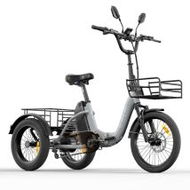 Triciclo eléctrico de carga CYSUM AG1 PRO, batería de 48 V y 20 Ah, cestas delantera y trasera, con marcha atrás - Nuevo