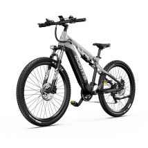 VTT électrique tout suspendu DUOTTS E29 250 W, batterie 48 V 13,5 Ah, 27,5 pouces