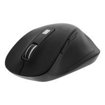 Deltaco DELO-0310 souris Bureau Droitier RF sans fil Optique 2400 DPI
