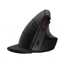 HP Souris verticale ergonomique 925