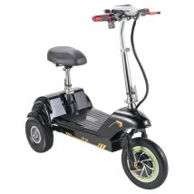 Trottinette électrique TWOFISH TF03 avec selle amovible, tricycle 350 W, batterie 48 V 15 Ah