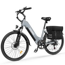 ESKUTE C202 Vélo Électrique 250W 48V17.5Ah 26'' - Gris
