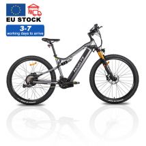 VTT électrique Hedatx T19-gris 29 pouces, moteur 1000 W, batterie 48 V 19,2 Ah, freins hydrauliques Shimano et mode PAS/E haute vitesse