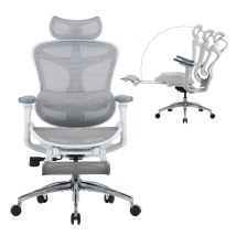 SIHOO Doro C300 Fauteuil de Bureau Ergonomique JT - Accoudoirs 3D, Soutien Lombaire Auto-ajustable, Mécanisme à Bascule - Dossier en Maille - 3 