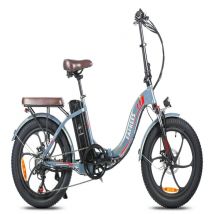 Vélo Électrique FAFREES F20 Pro - Moteur 250W Batterie 648WH Autonomie 80KM - Vert éblouissant