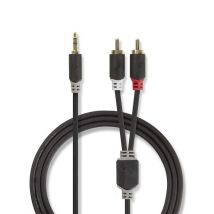 Nedis CABW22200AT100 cable de audio 10 m 3,5mm 2 x RCA Antracita - Nuevo