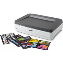 Epson Expression 13000XL Pro Escáner de cama plana 2400 x 4800 DPI A3 Gris, Blanco - Nuevo