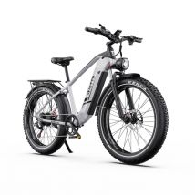 Bicicleta eléctrica DUOTTS F26 Lite Silver de 500 W, 48 V 18 Ah, neumáticos todoterreno de 26 pulgadas de ancho, autonomía de 80-90 km, frenos de 