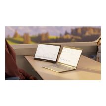 JAPANNEXT JN-MD-i156F-T-LE - Ecran nomade tactile 15.6p 1920x1080 FHD 60Hz - IPS - 300 cd/m2 - mini HDMI - USB-C charge