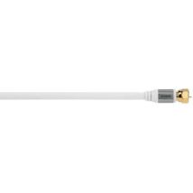 Avinity 2m, 2xF câble coaxial F Blanc