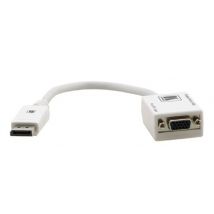 Kramer Electronics DP - D-Sub 0.3m 0,3 m DisplayPort VGA (D-Sub) Blanc